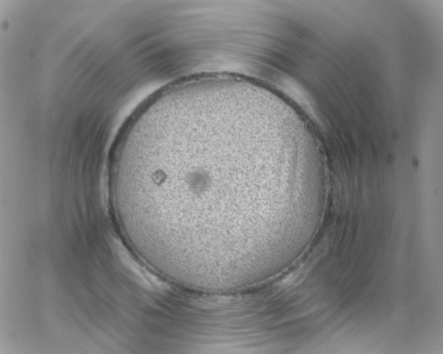 X0000066001076200603172159