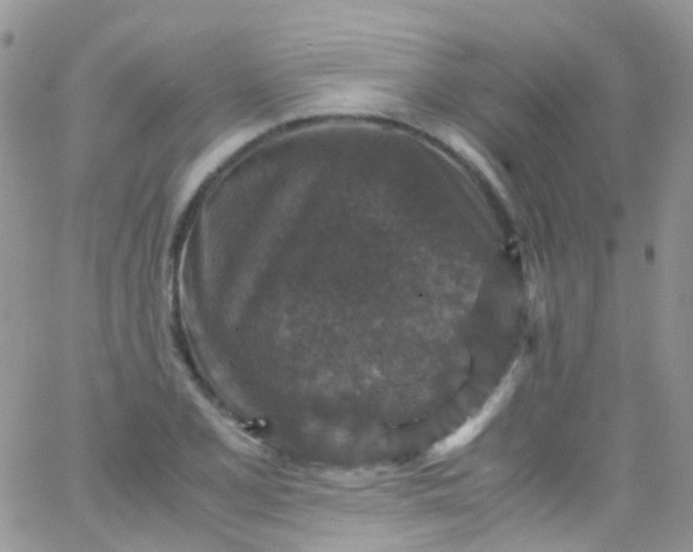 X0000066001077200603172159