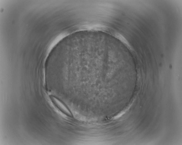 X0000066001079200603172159