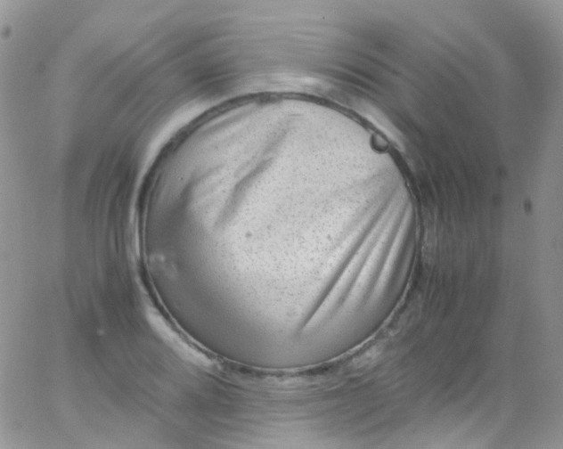 X0000066001080200603172159