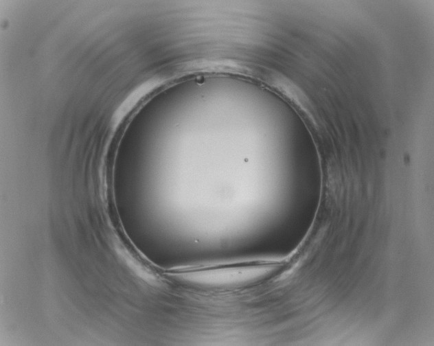 X0000066001082200603172159