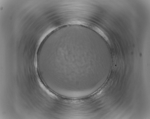 X0000066001084200603172159