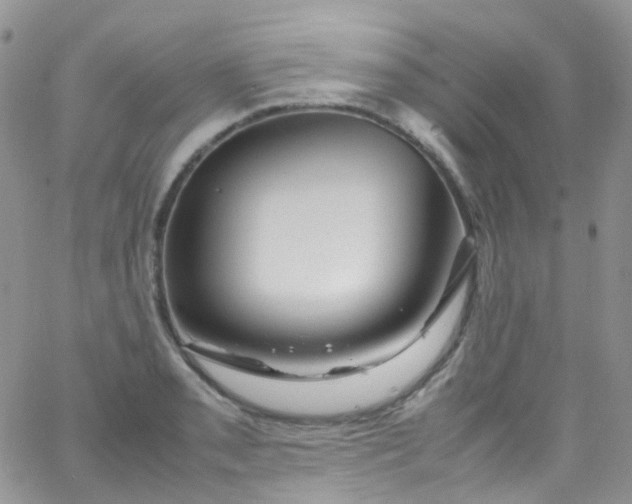 X0000066001085200603172159