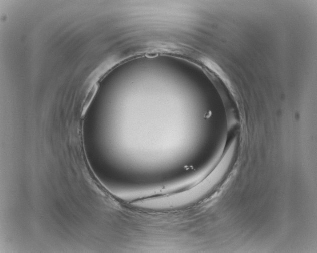 X0000066001089200603172159