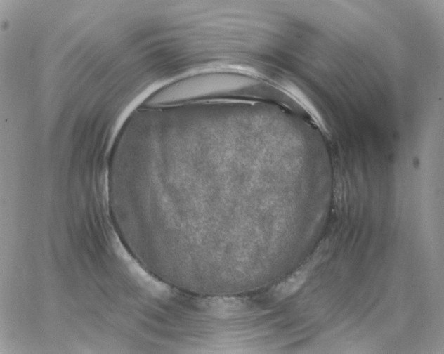 X0000066001092200603172159