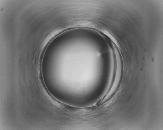 X0000066001093200603172159