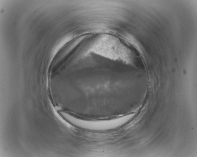 X0000066001095200603172159