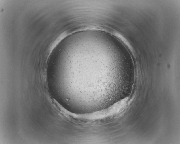 X0000066001097200603172159