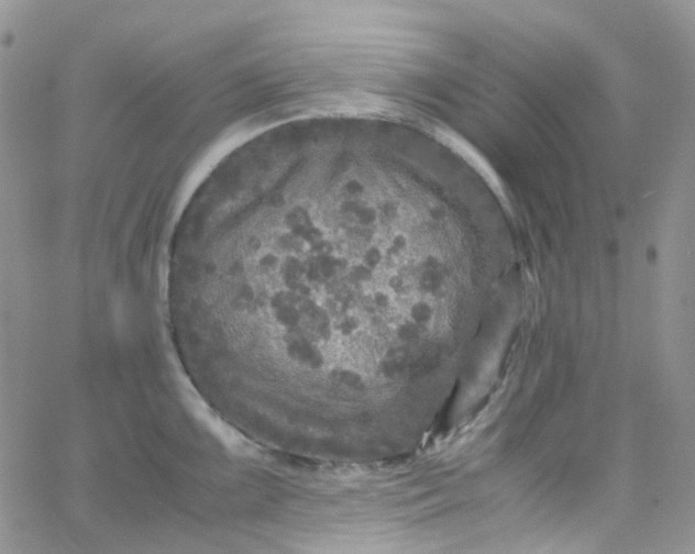 X0000066001099200603172159