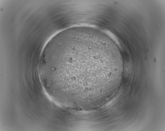 X0000066001100200603172159