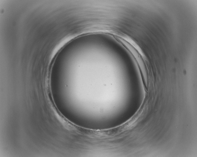 X0000066001101200603172159