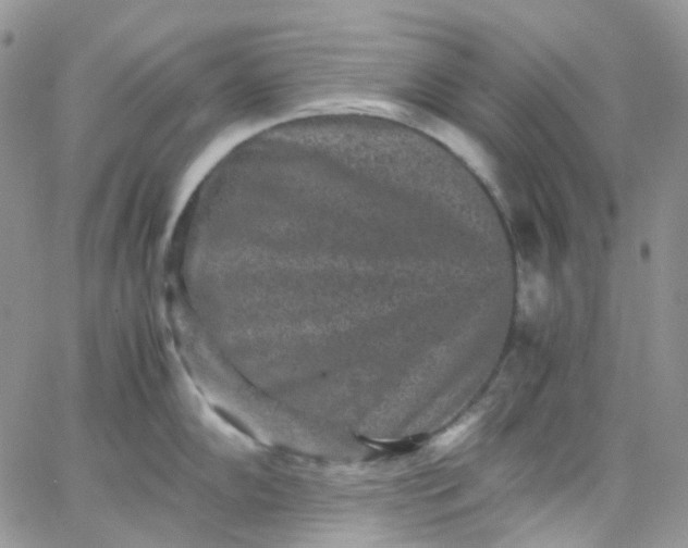 X0000066001102200603172159