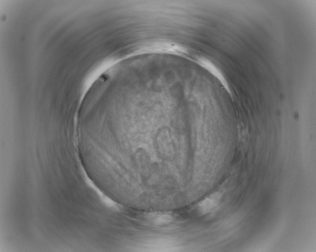 X0000066001103200603172159