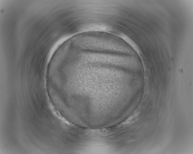 X0000066001104200603172159