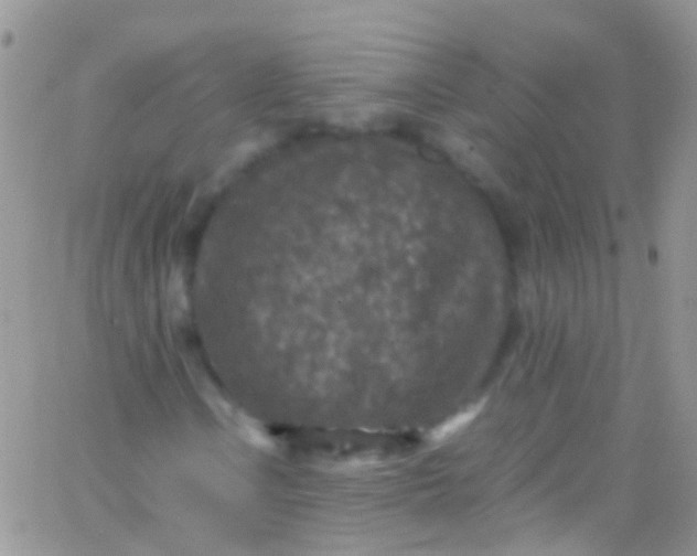 X0000066001106200603172158