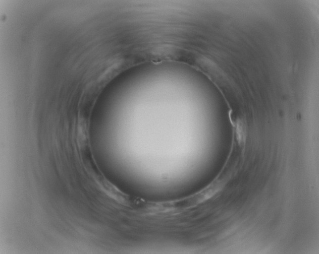 X0000066001107200603172158