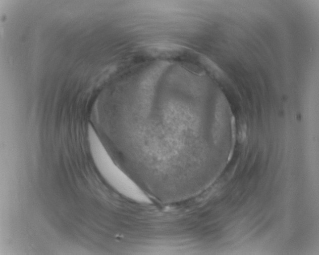 X0000066001108200603172158