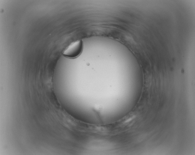 X0000066001109200603172158