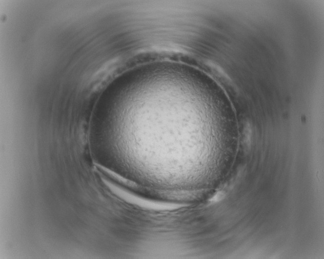 X0000066001110200603172158