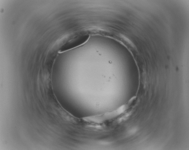 X0000066001111200603172158