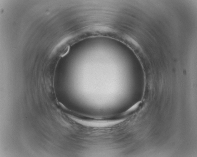 X0000066001112200603172158