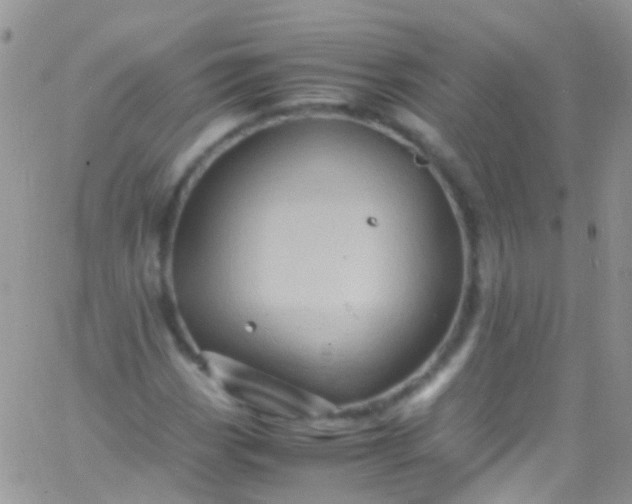 X0000066001113200603172158