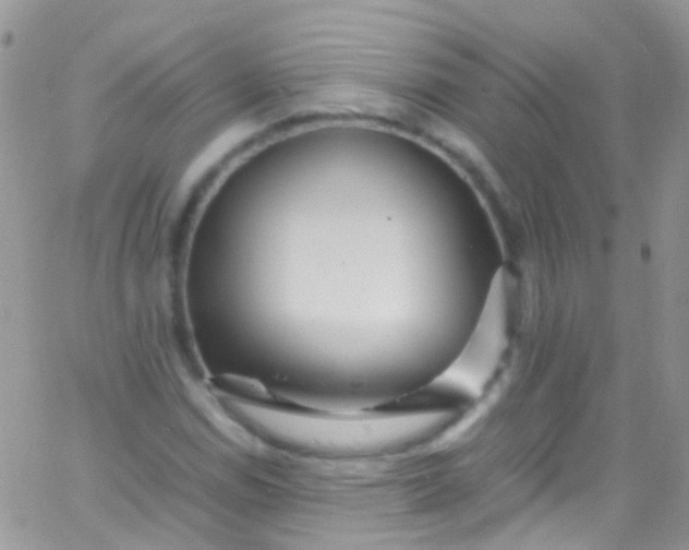 X0000066001114200603172158