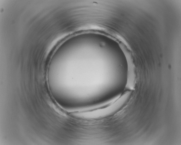 X0000066001116200603172158