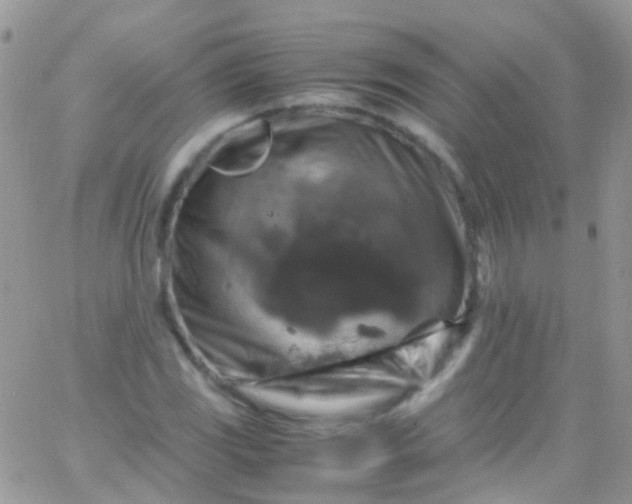 X0000066001117200603172158