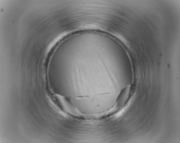 X0000066001118200603172158