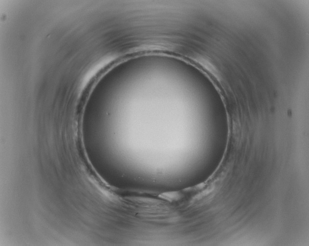 X0000066001119200603172158