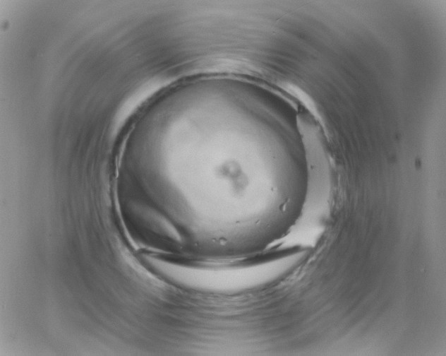 X0000066001120200603172158