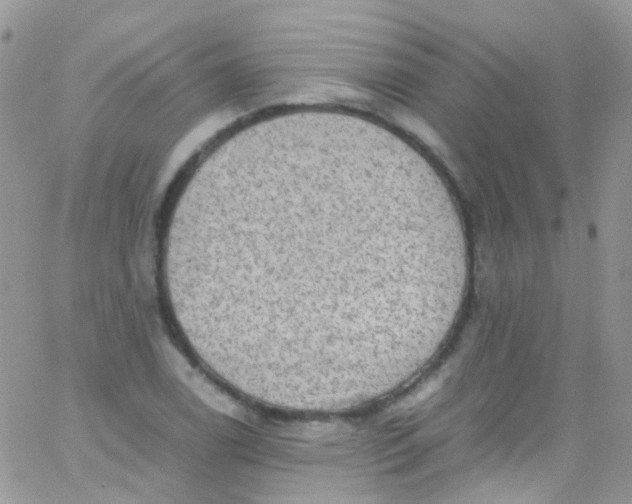 X0000066001122200603172158