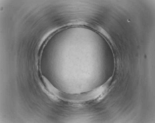 X0000066001124200603172158