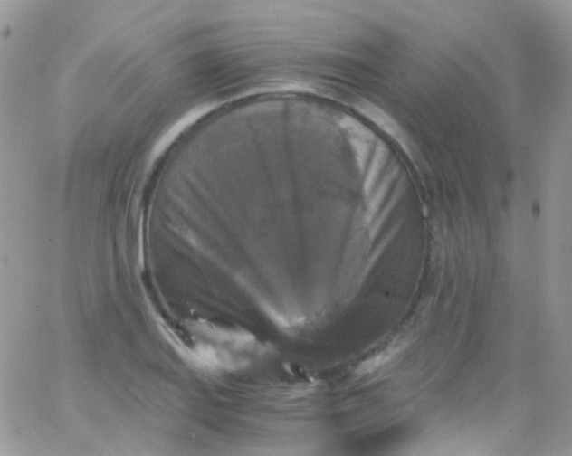 X0000066001127200603172158