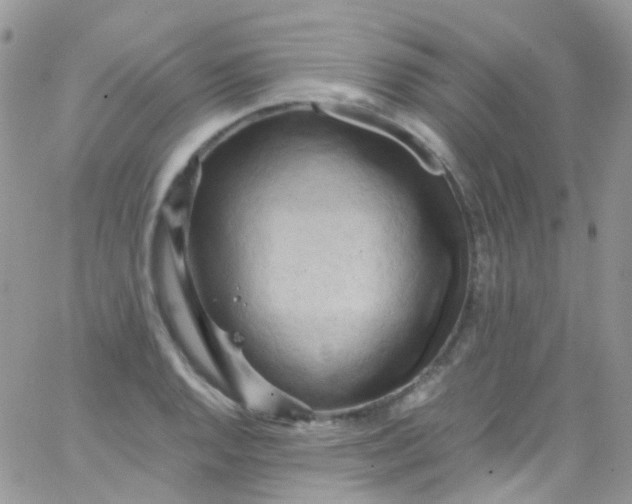 X0000066001128200603172158