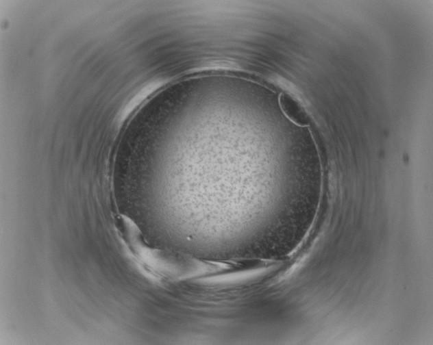 X0000066001129200603172158