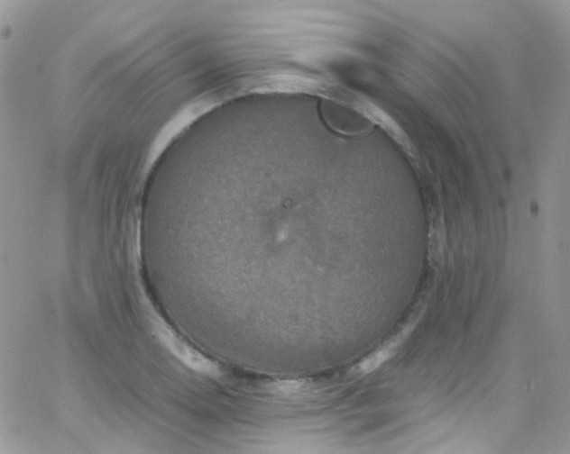 X0000066001130200603172158