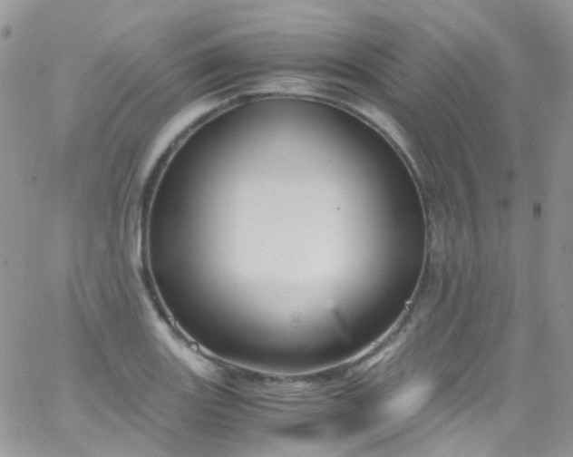 X0000066001131200603172159