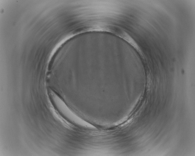 X0000066001132200603172159