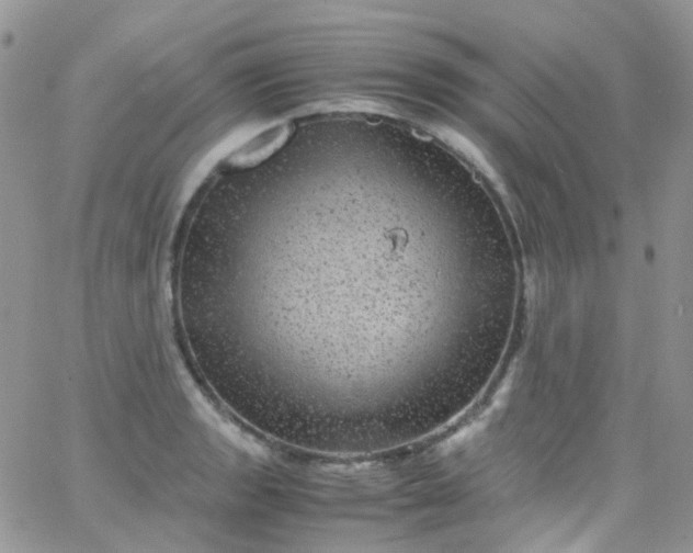 X0000066001133200603172159