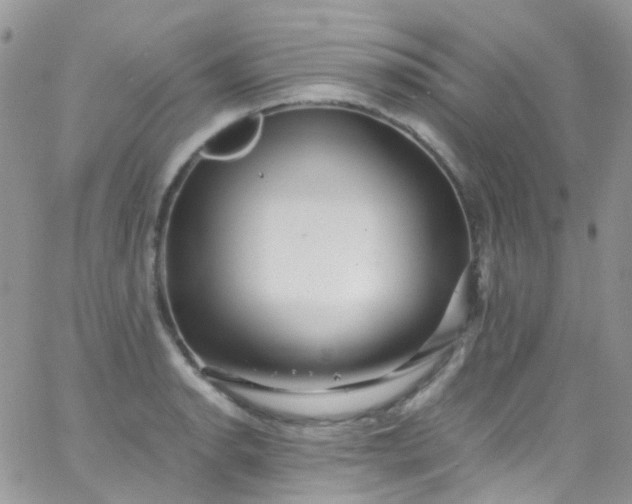 X0000066001134200603172159