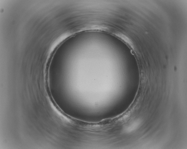 X0000066001135200603172159