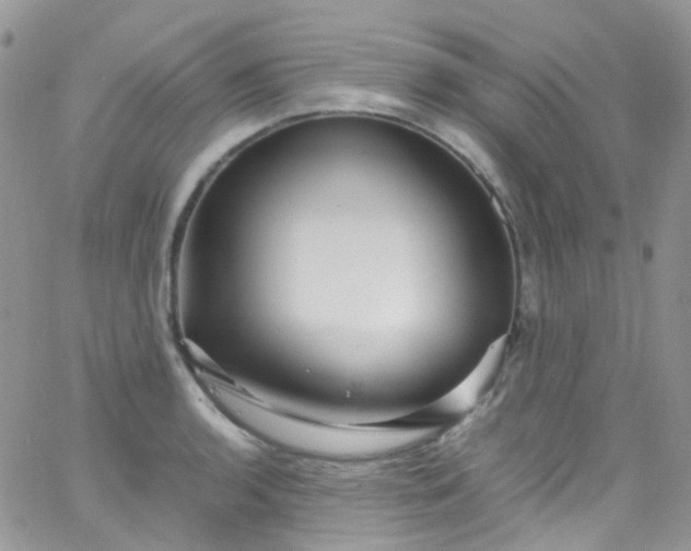 X0000066001136200603172159