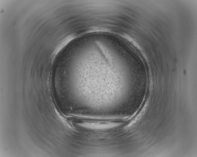 X0000066001137200603172159