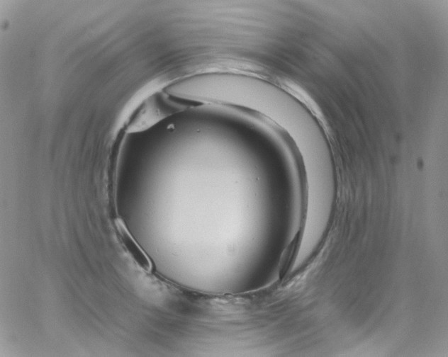 X0000066001138200603172159