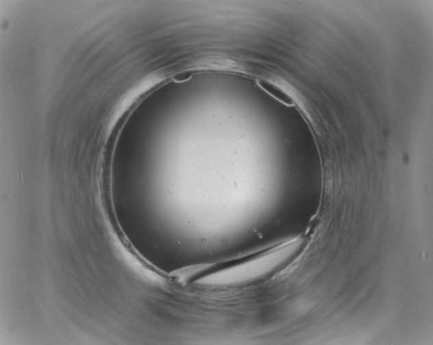 X0000066001139200603172159