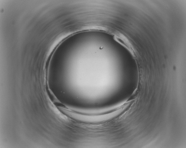 X0000066001140200603172159