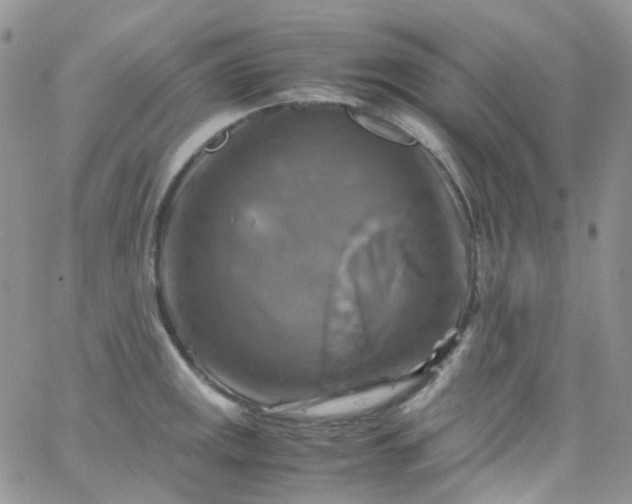 X0000066001141200603172159