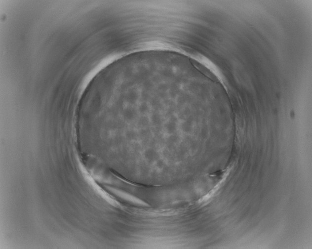 X0000066001142200603172159